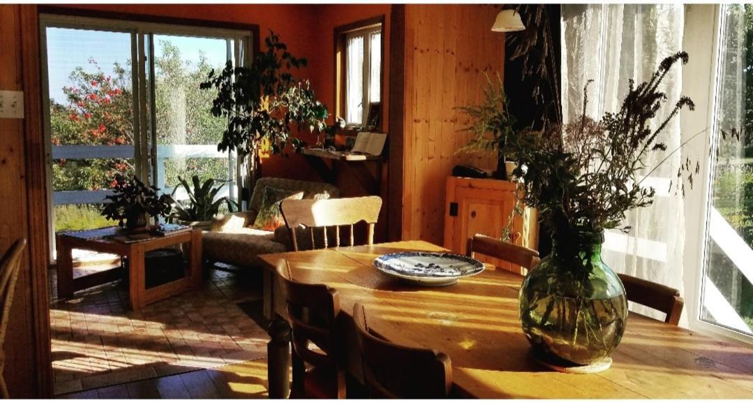 Gite Aux Jardins De L'Anse Perce Ngoại thất bức ảnh